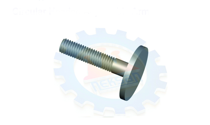 Yuvarlak Başlıklı Ayar Vidası